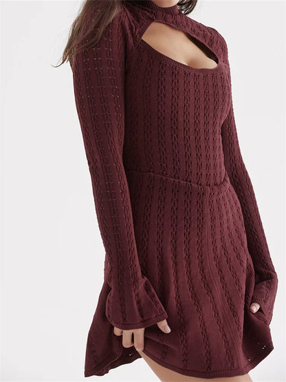 Knitted Ribbed Long Flare Sleeve Turtleneck Mini Dress